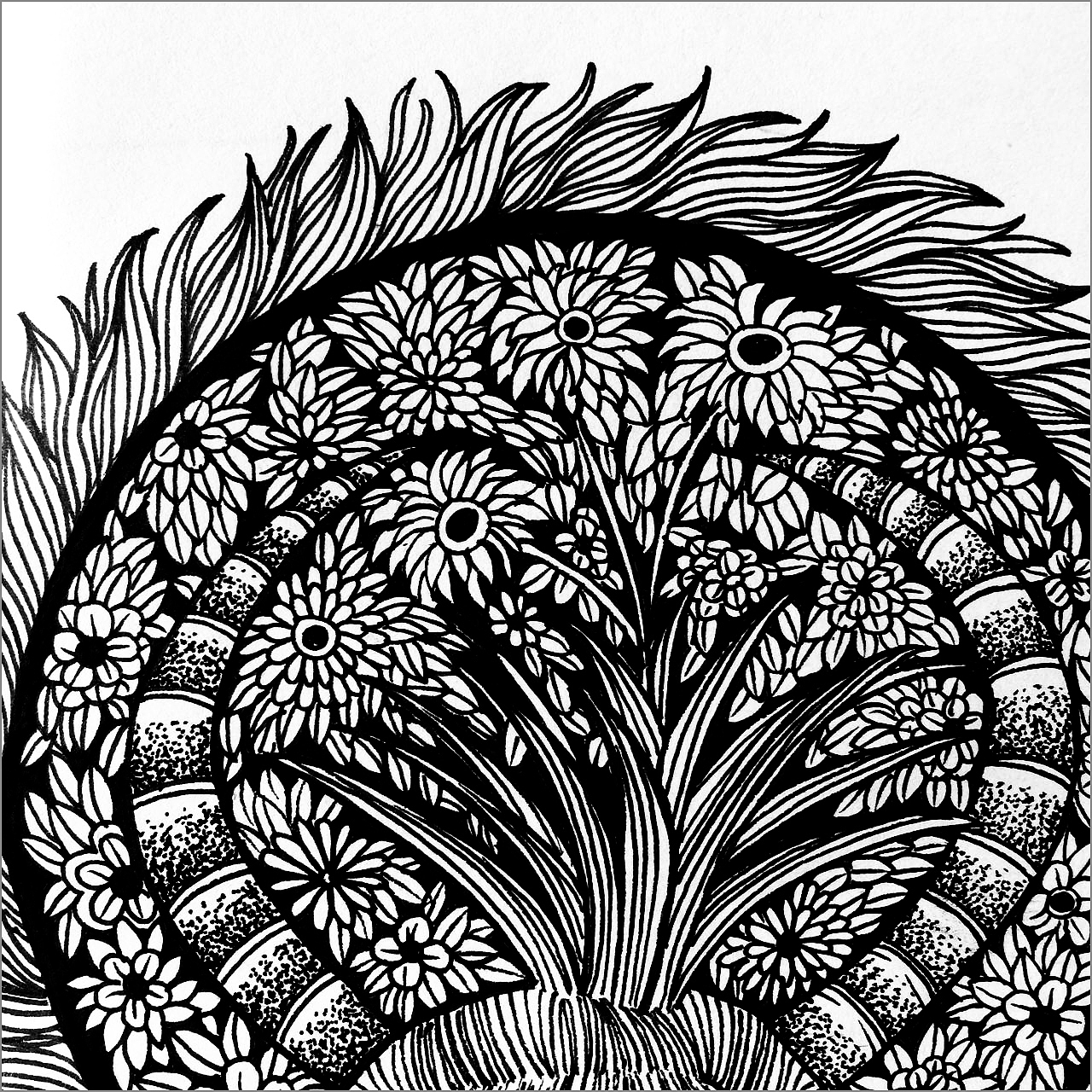 第一次用PS上色