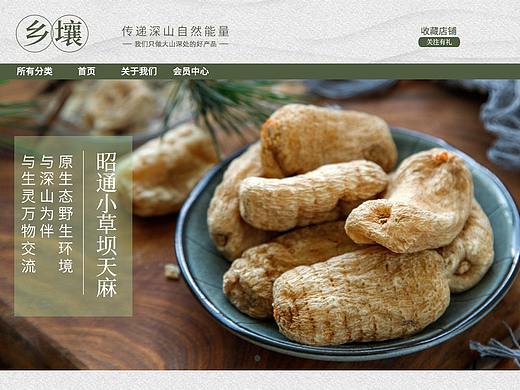 电商整站设计-【乡壤】- 传递大山自然能量 