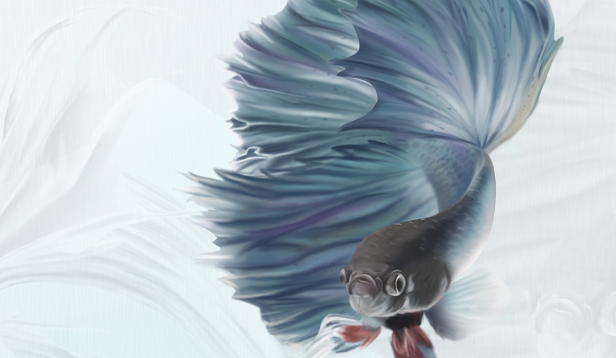 锦鲤画作（图ZMTQ0ODI4MTcy） - 创作习作 - 站酷设计师小沟街原创素材 - 站酷ZCOOL