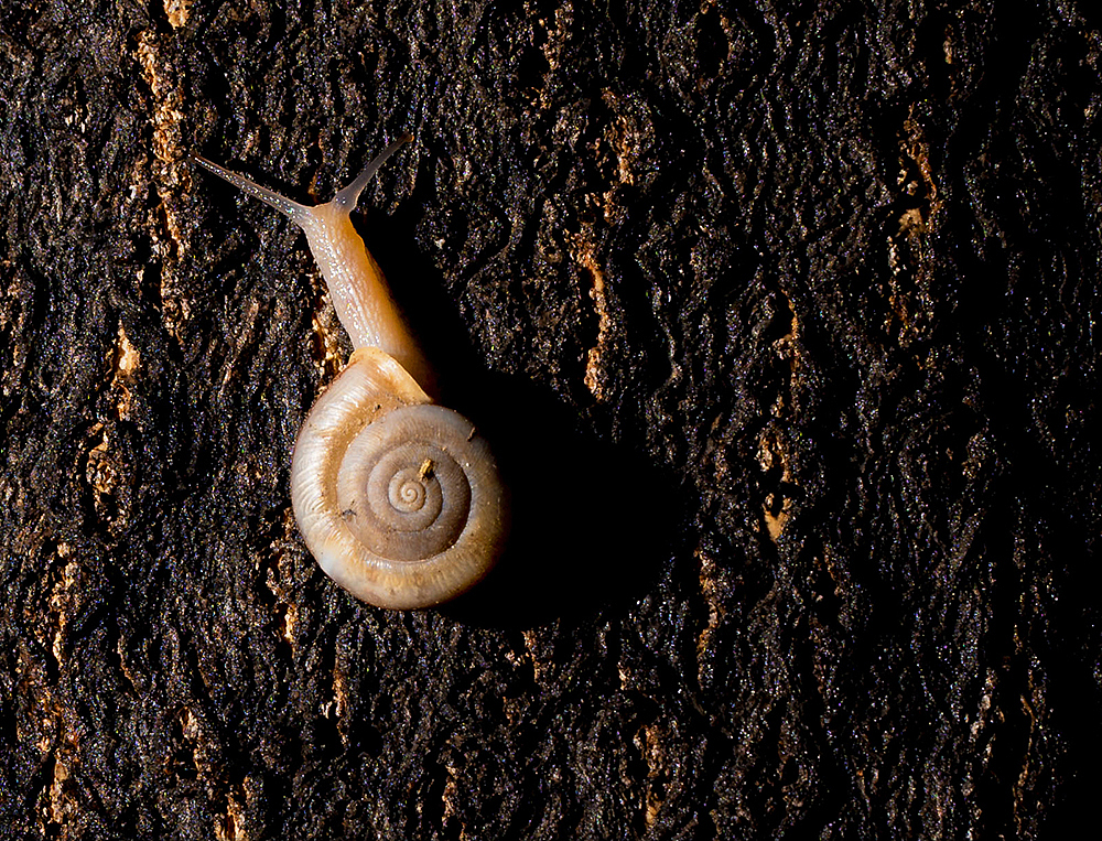 北京将府公园走走拍拍