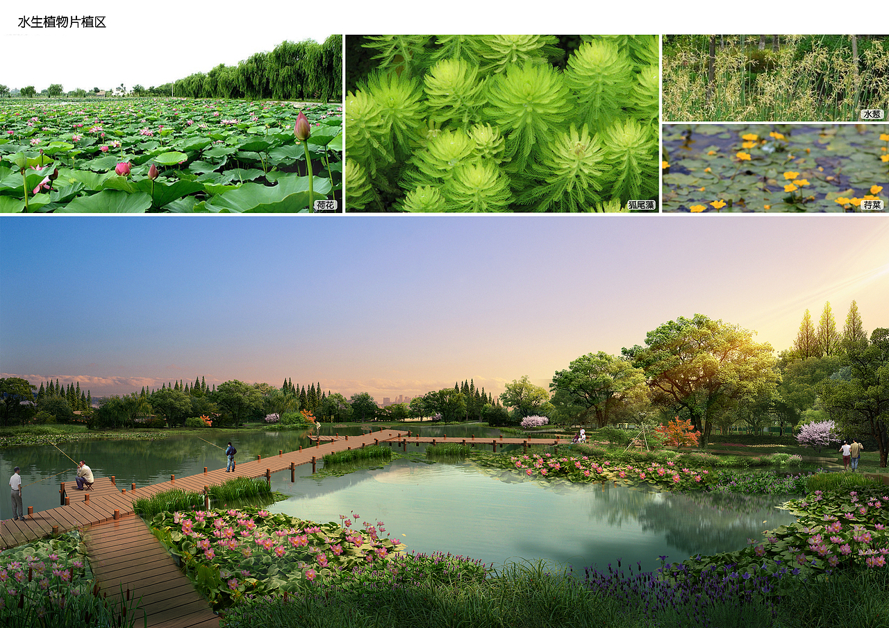部分园林作品集整理（图ZNzEwODA1MzI=） - 景观设计 - 站酷设计师果丹皮高原创素材 - 站酷ZCOOL