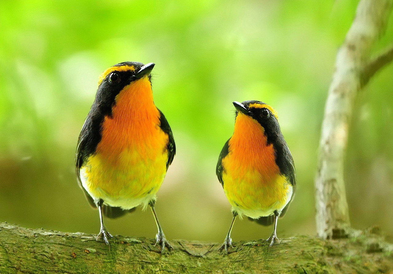 PS（图ZMjYyNDk4ODMy） - 其他UI - 站酷设计师可口可乐5203原创素材 - 站酷ZCOOL