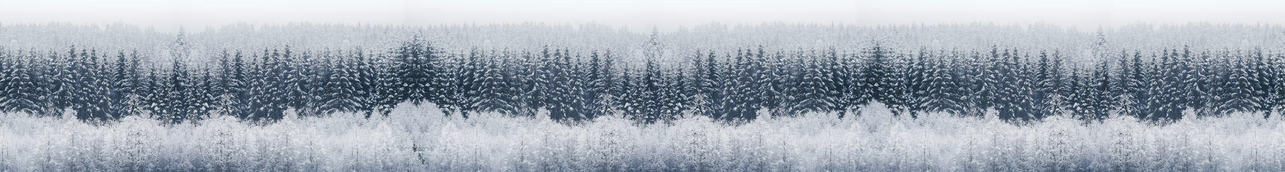 Alizee小菲的個(gè)人主頁(yè)（封面預(yù)覽） - 主頁(yè)封面設(shè)置 - 站酷設(shè)計(jì)師Alizee小菲原創(chuàng)素材 - 站酷ZCOOL