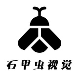 石甲虫视觉的头像