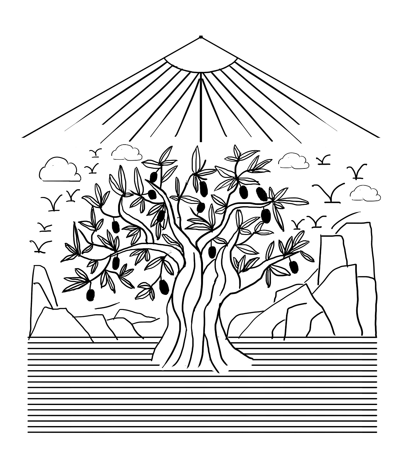 橄榄树画法图片