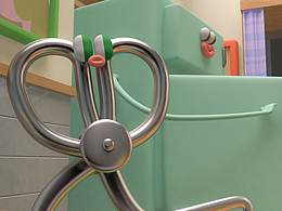 宅在家里的第N天，好像听见它们在说话