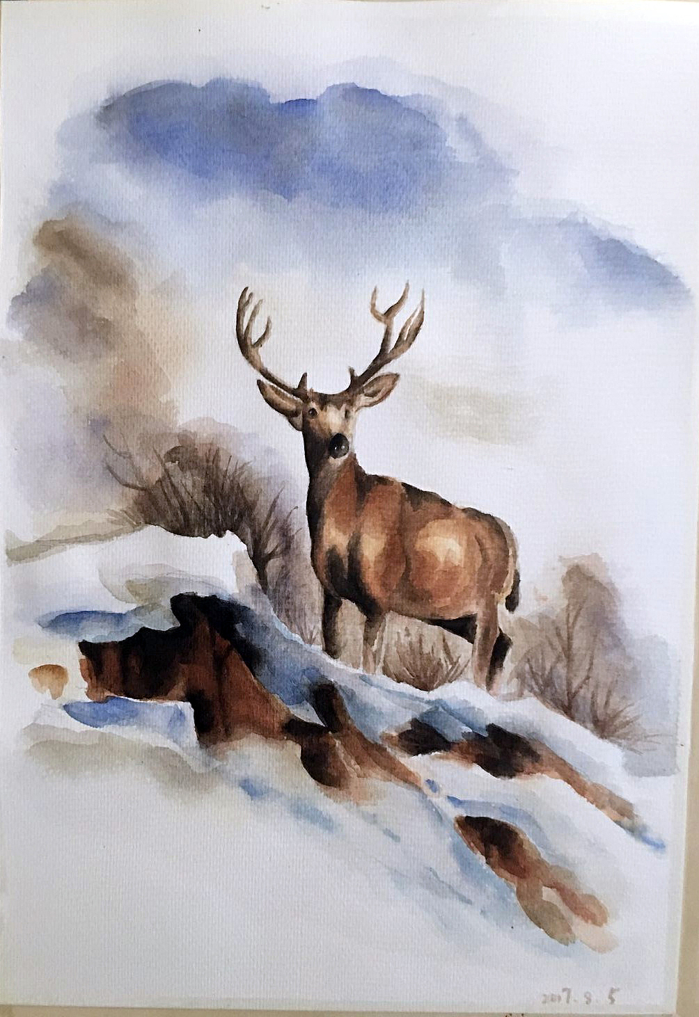 临摹--鹿|纯艺术|绘画|guan2436755_原创作品-站酷zcool