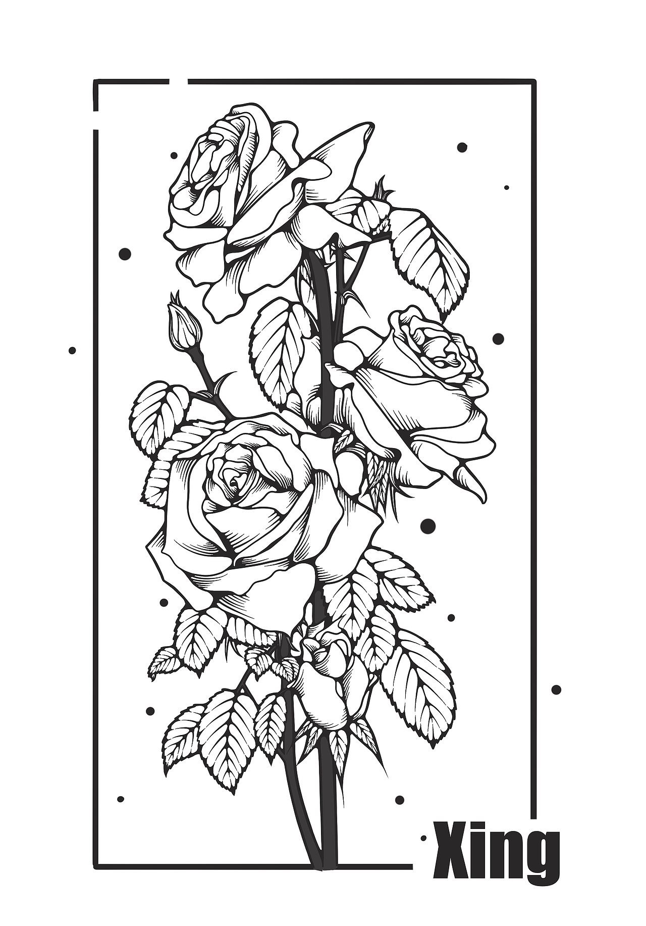 黑白线稿合集（图ZMzczMTM1Mjky） - 商业插画 - 站酷设计师星星绘画铺原创素材 - 站酷ZCOOL