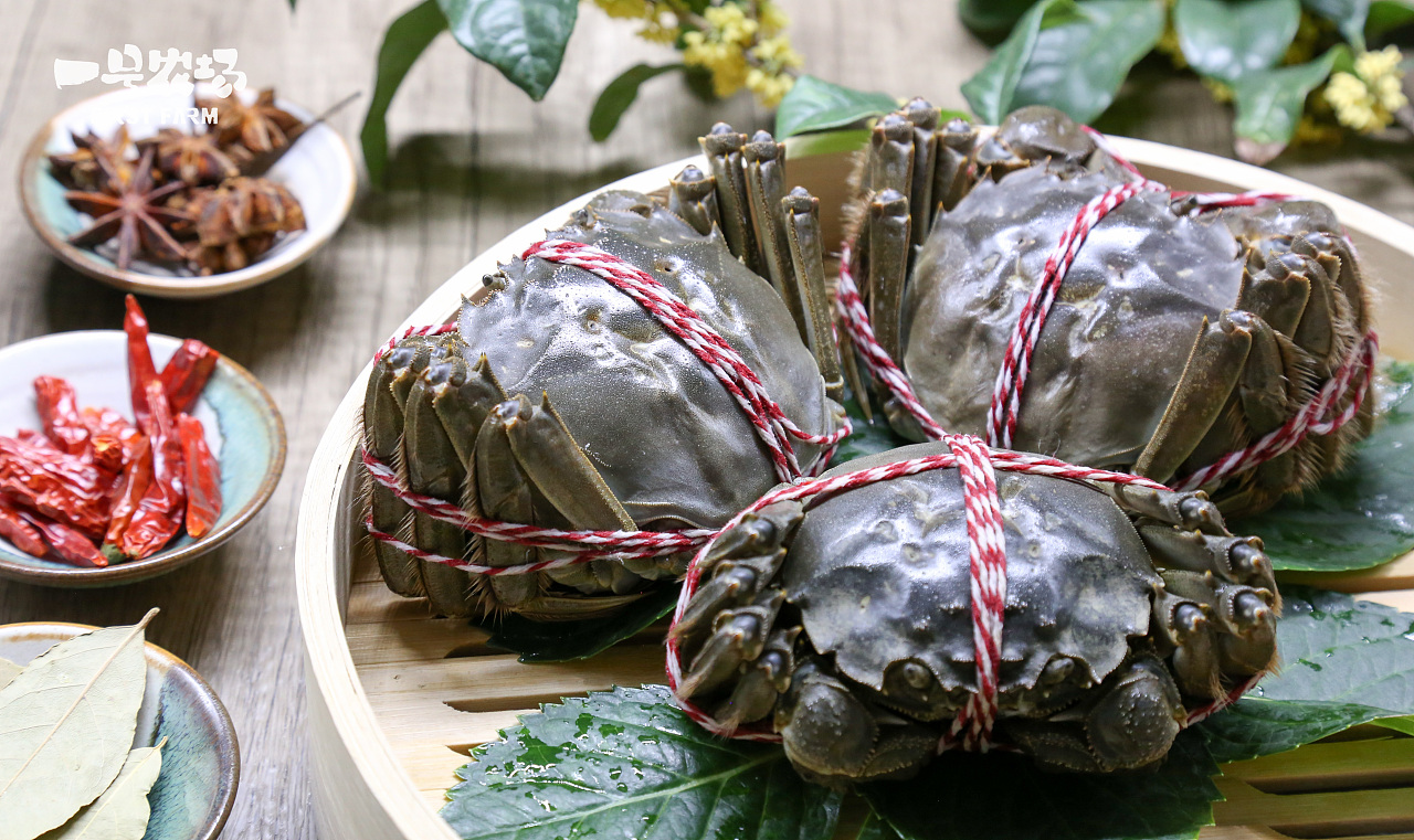 长荡湖大闸蟹拍摄