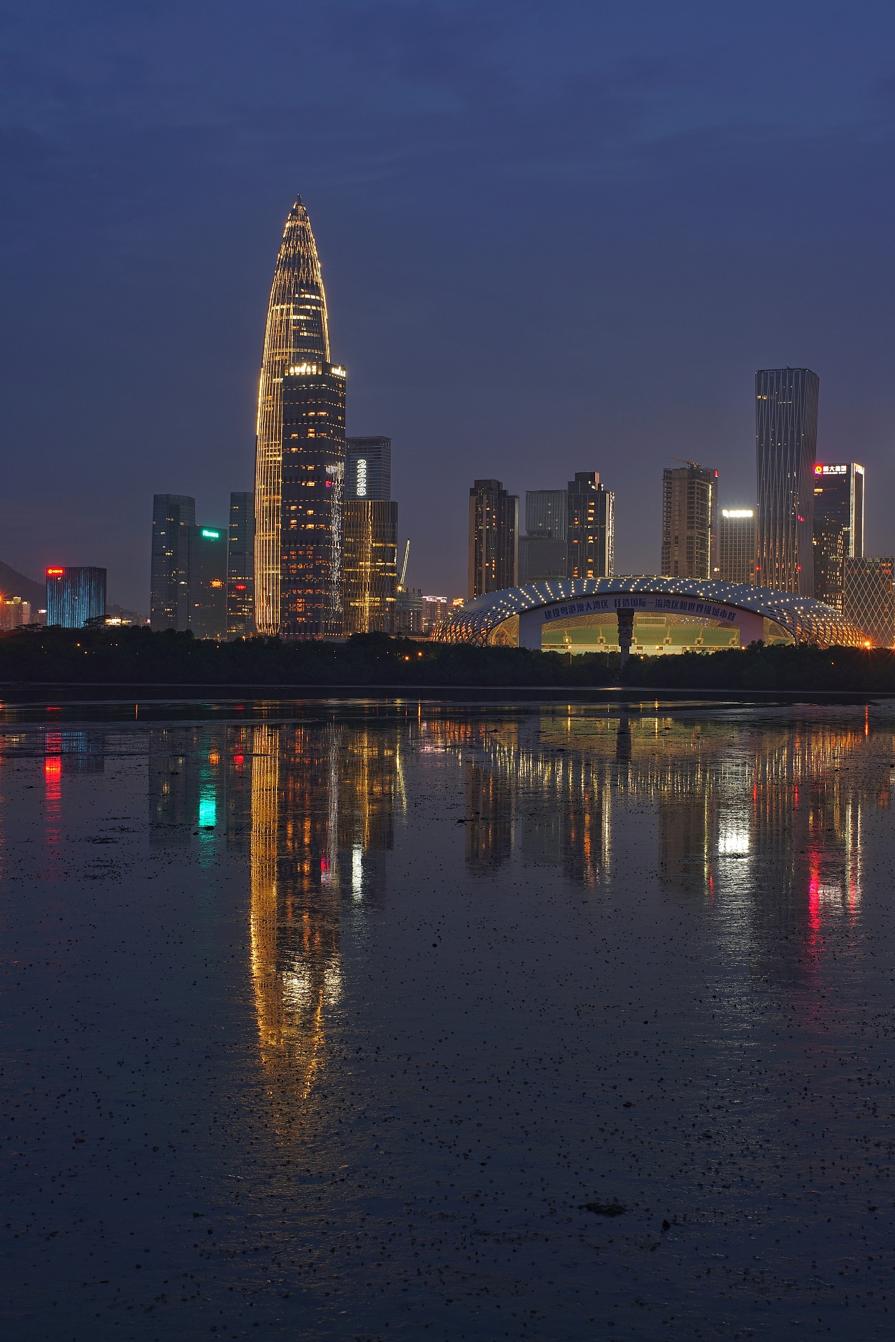 深圳湾一号夜景图片图片