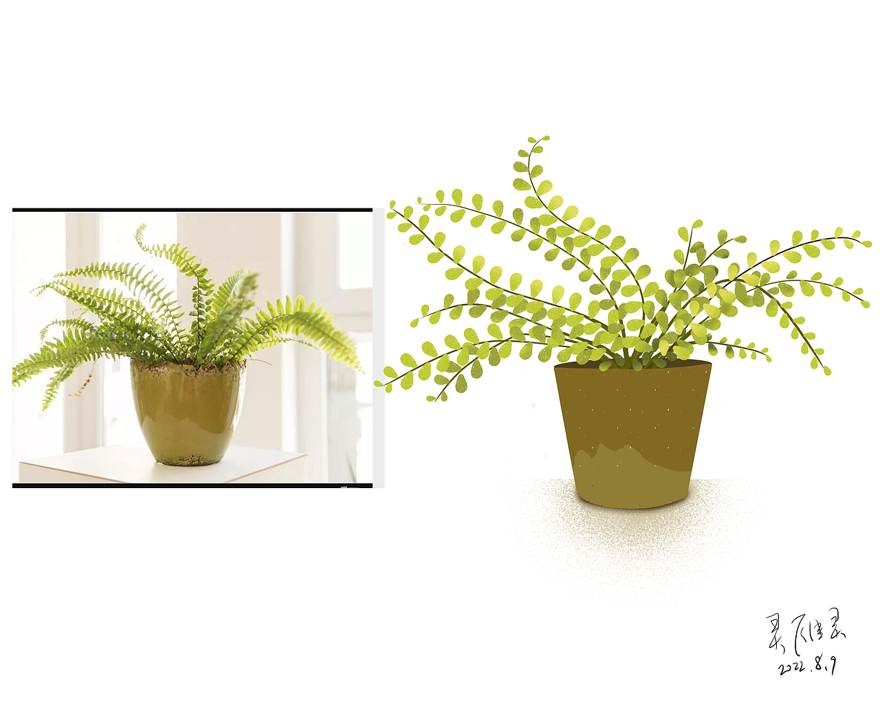 植物写生（图ZMzEyNjE1NzU2） - 商业插画 - 站酷设计师灵雁灵原创素材 - 站酷ZCOOL