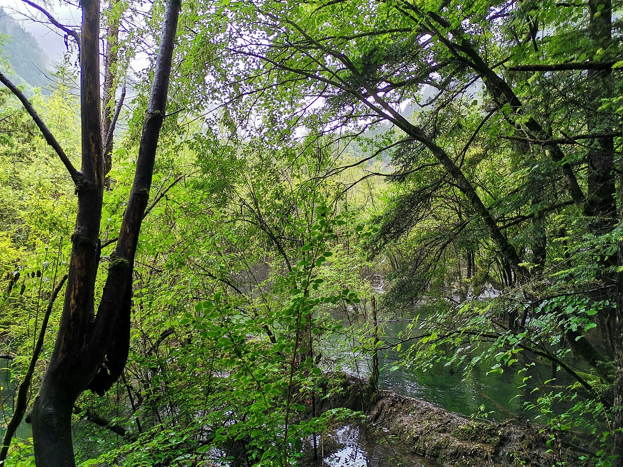 五彩缤纷九寨沟(下)