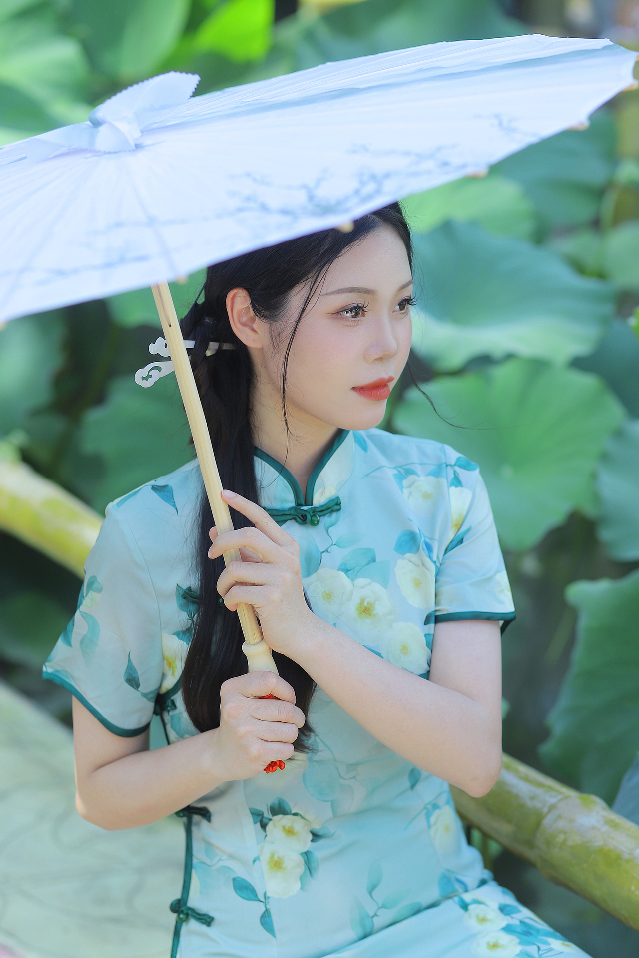 你一句春不晚 我就到了真江南