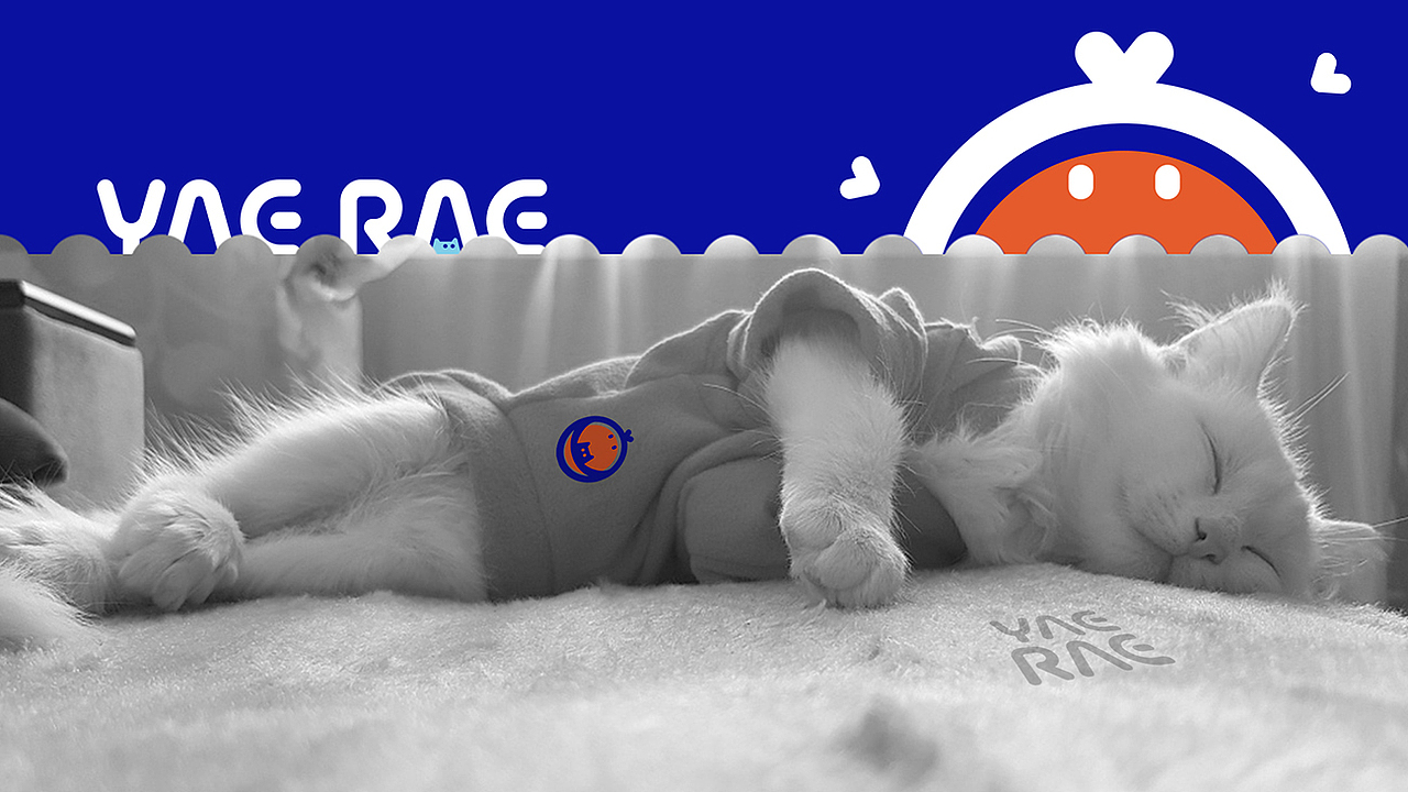 悦睿品牌形象打造（图ZMzAyOTcyMDI0） - 品牌 - 站酷设计师AOCHDA奥创原创素材 - 站酷ZCOOL