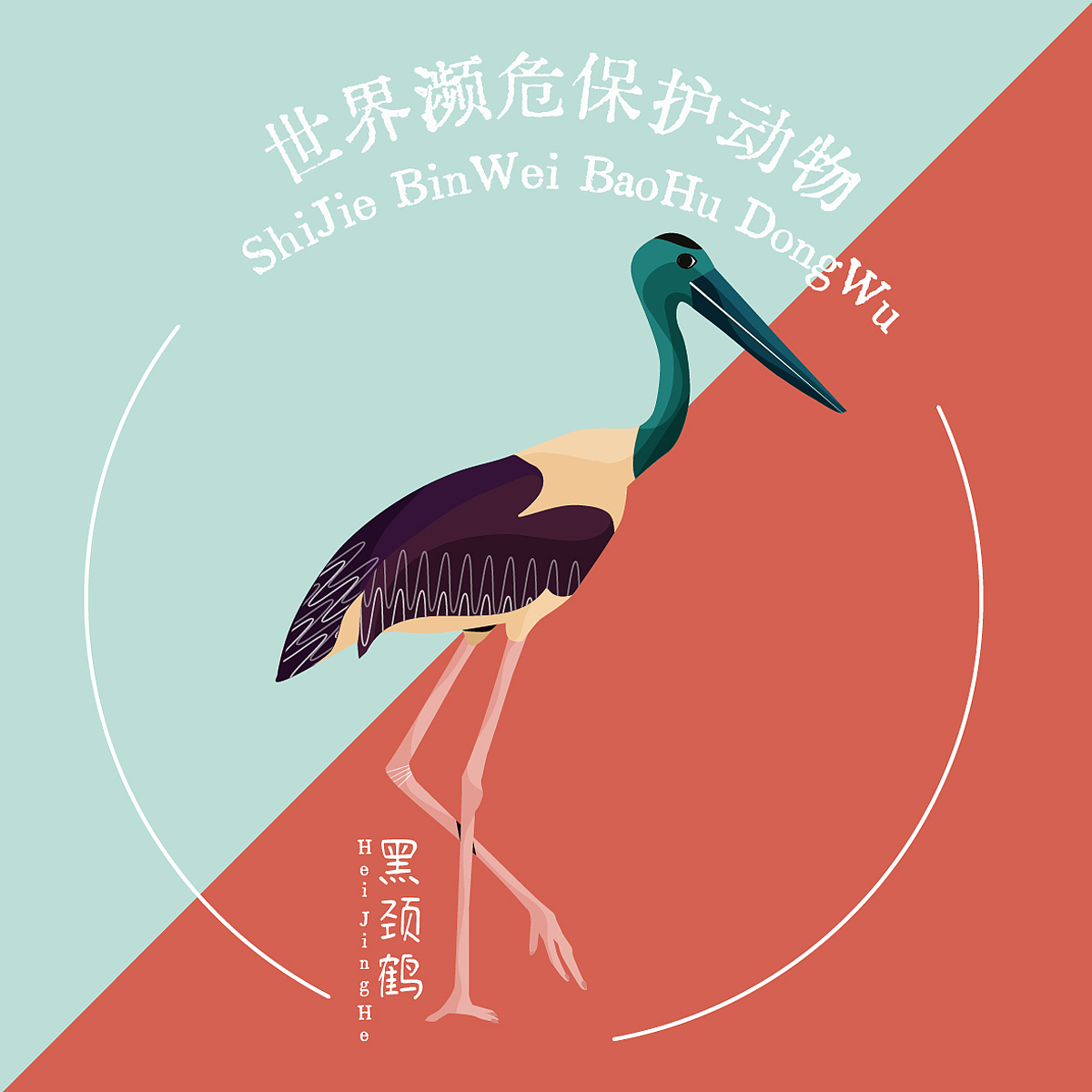 世界濒危保护动物矢量扁平海报（图ZMzI0OTc4Mzky） - 商业插画 - 站酷设计师亦木插画原创素材 - 站酷ZCOOL