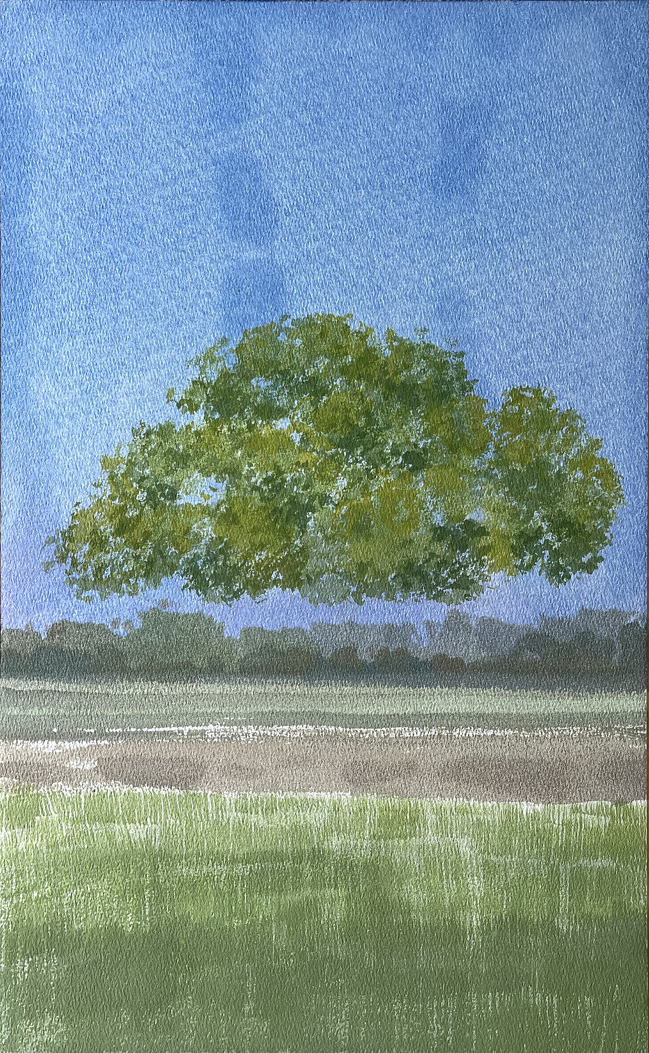 水彩风景——秋天,逃不过那棵树