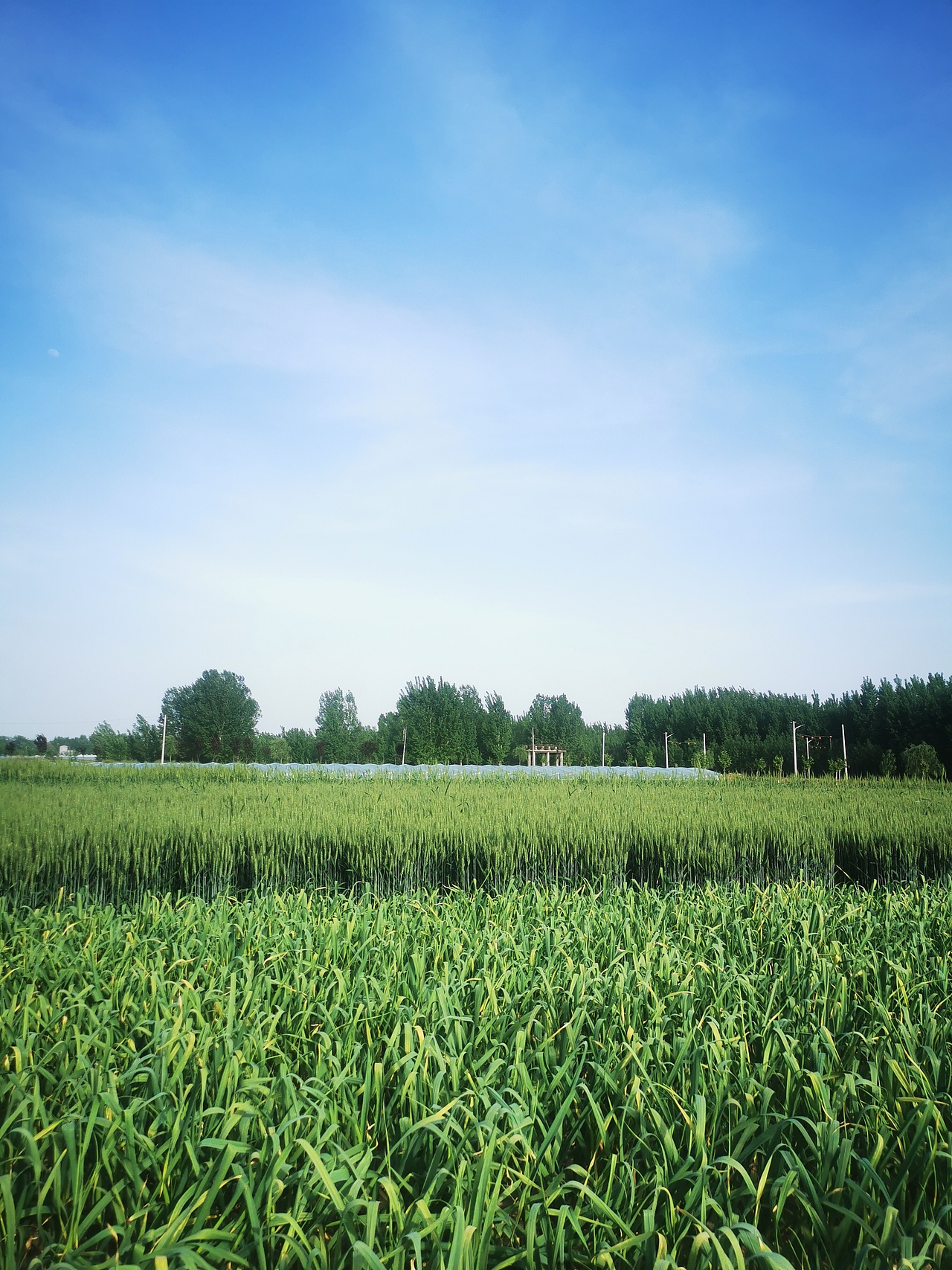 华为手机-部分摄影碎片
