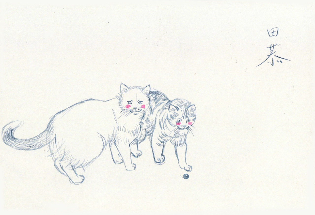 绘本《致我们亲爱的故乡》二印的签绘明信片