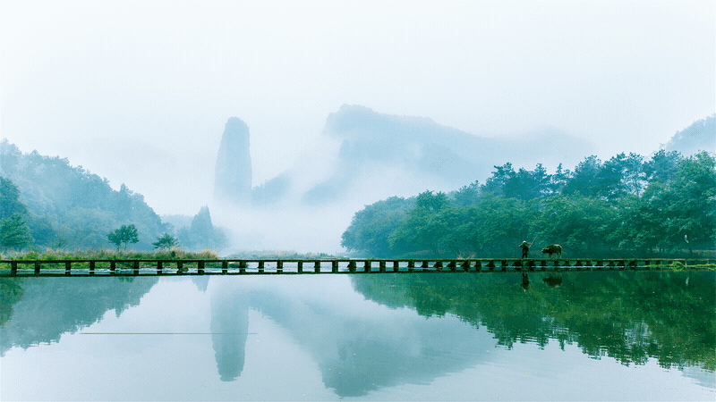 浙江卫视2022频道包装（图ZMzA4NTU4Nzg0） - 栏目片头 - 站酷设计师TenyStudio原创素材 - 站酷ZCOOL