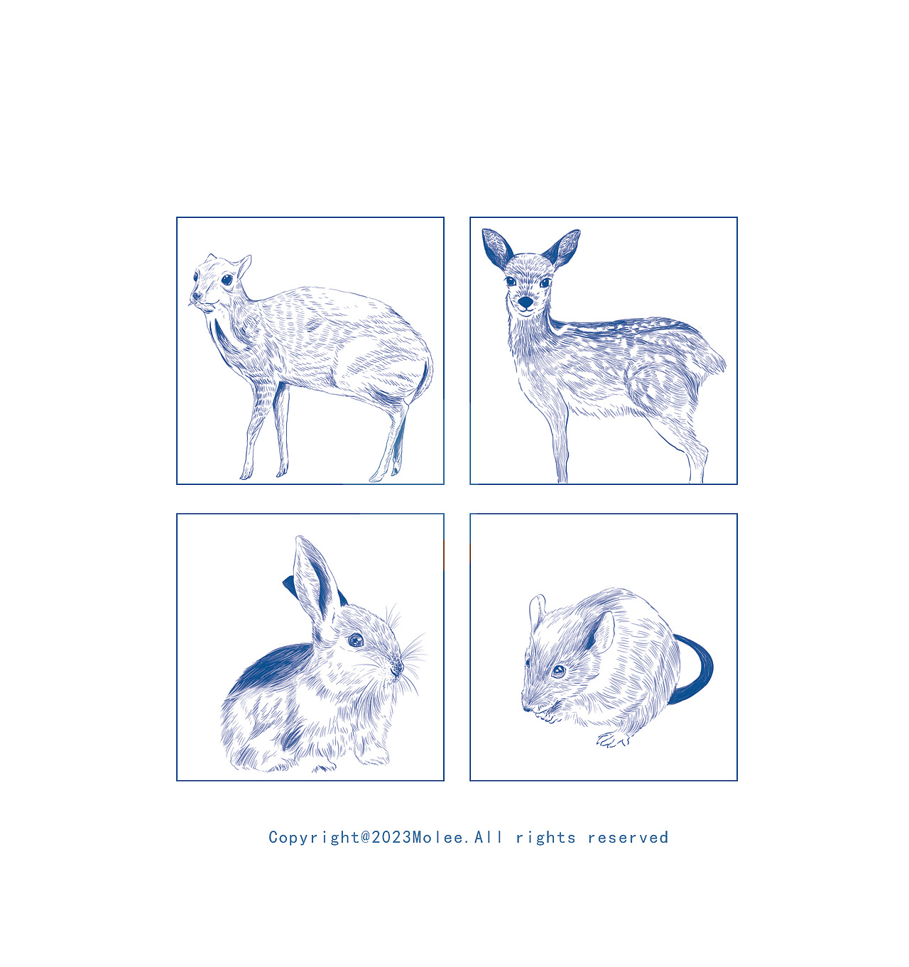 出版物《奇特物种》封面及内文插图