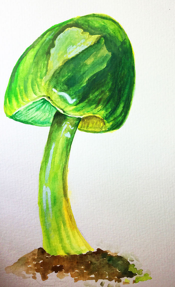 臨摹手繪練習(xí)（圖ZMzMzNTU1MjAw） - 繪畫 - 站酷設(shè)計師ChenSD原創(chuàng)素材 - 站酷ZCOOL