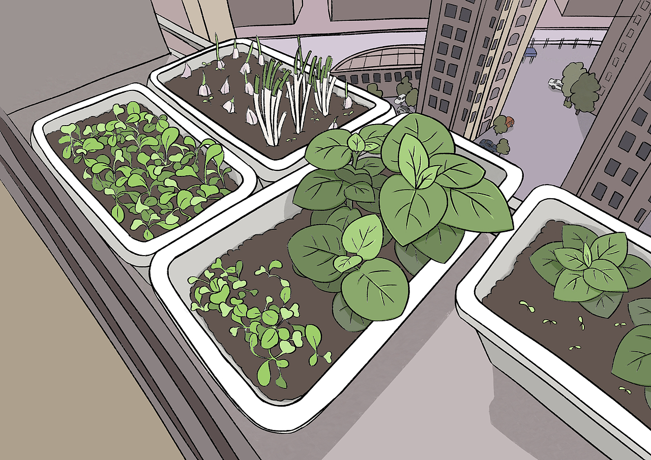 插画打卡练习（图ZMzAyMjM2OTY0） - 创作习作 - 站酷设计师滨崎绫原创素材 - 站酷ZCOOL