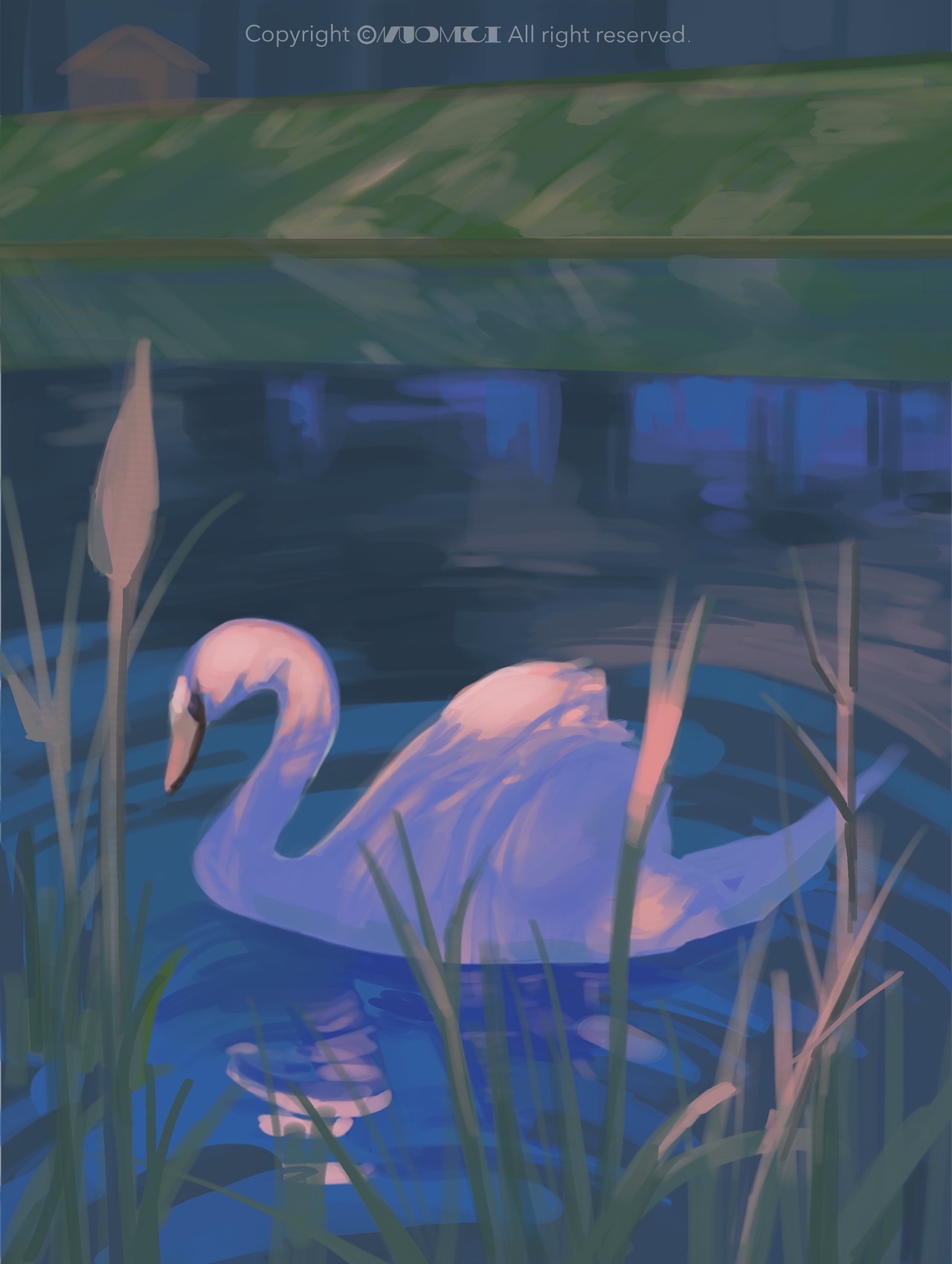 色彩派对30天｜色彩倾向2（图ZMzM0NTI5NDI4） - 创作习作 - 站酷设计师糯米拌饭原创素材 - 站酷ZCOOL