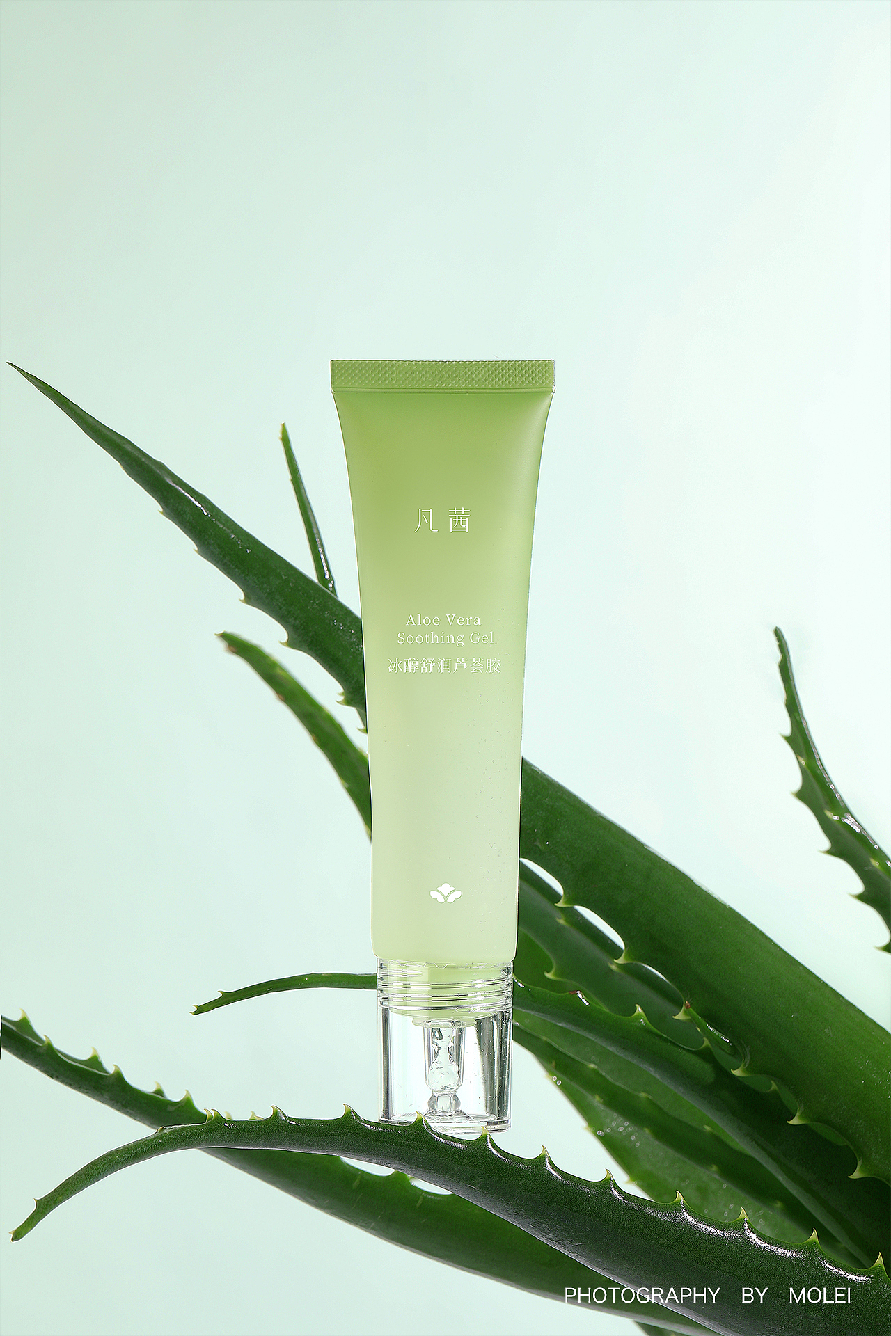 【凡茜】芦荟胶拍摄|默雷