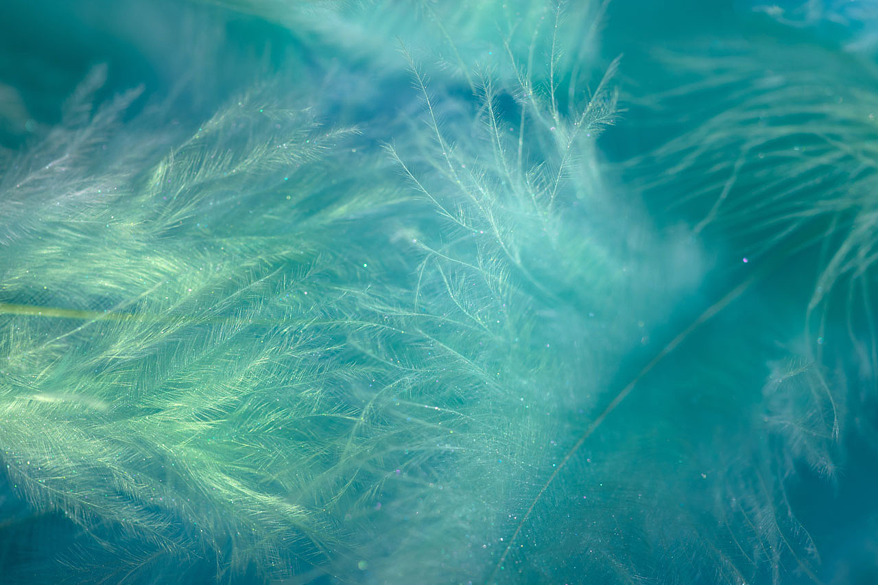 绽影像之《丛林深处》（图ZMzM2NzQzNDMy） - 时尚/艺术摄影 - 站酷设计师陈绽原创素材 - 站酷ZCOOL