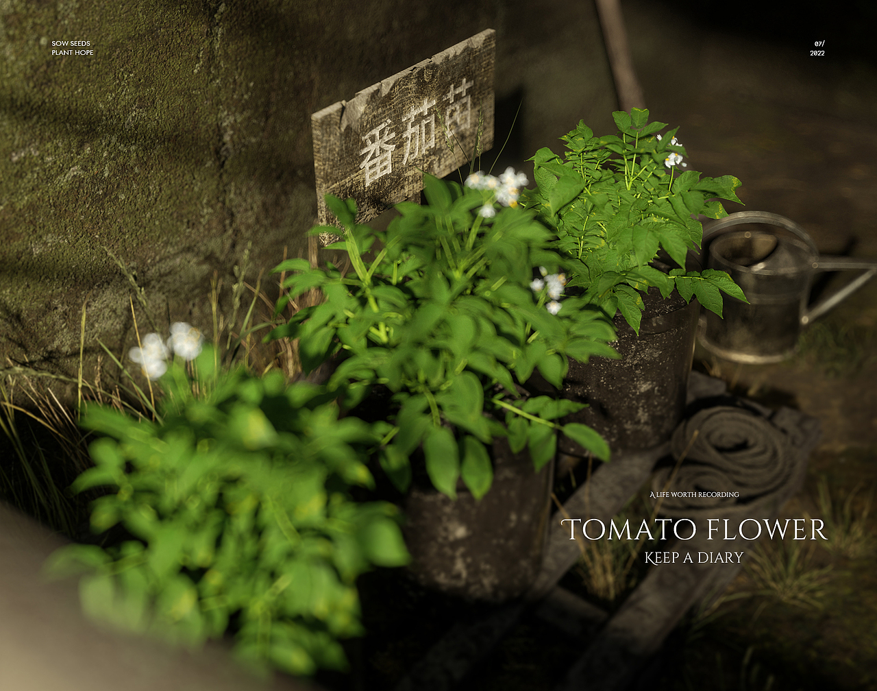 我的番茄园（图ZMzA5NTk0NTQ0） - 场景 - 站酷设计师林大蛋原创素材 - 站酷ZCOOL