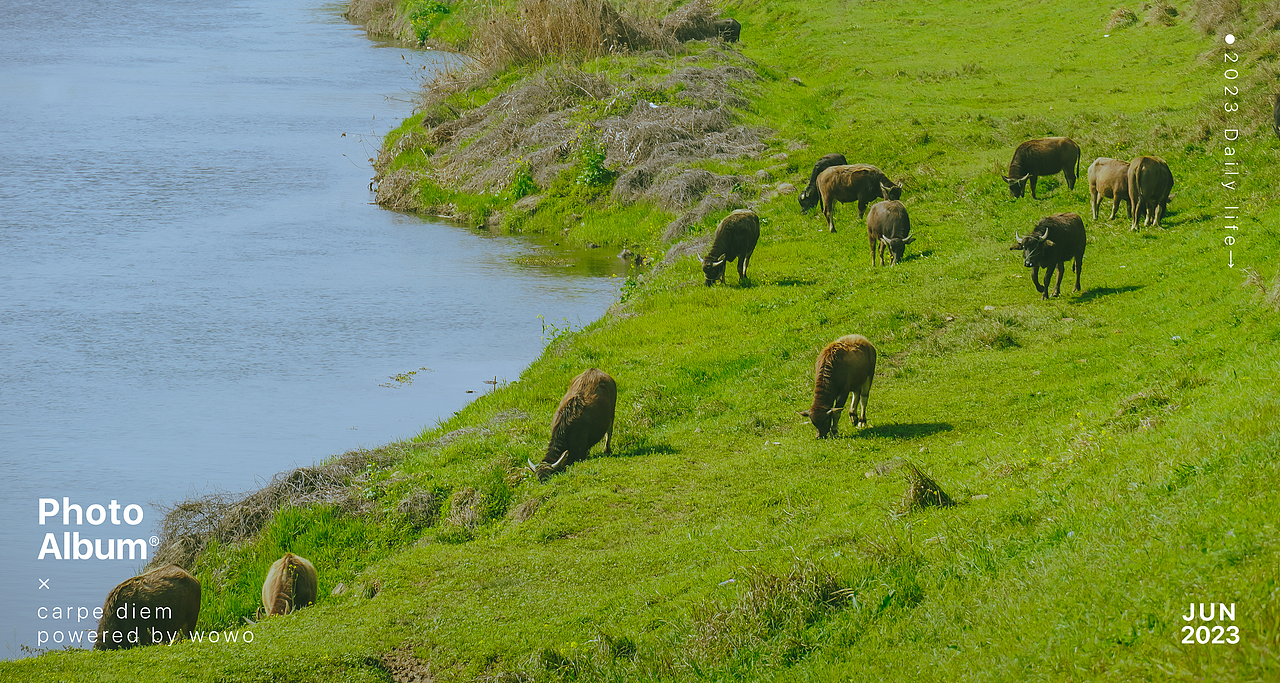 3月 | 阳光骑行油菜花（图ZMzQ3NzAwMzE2） - 风光摄影 - 站酷设计师wow0原创素材 - 站酷ZCOOL