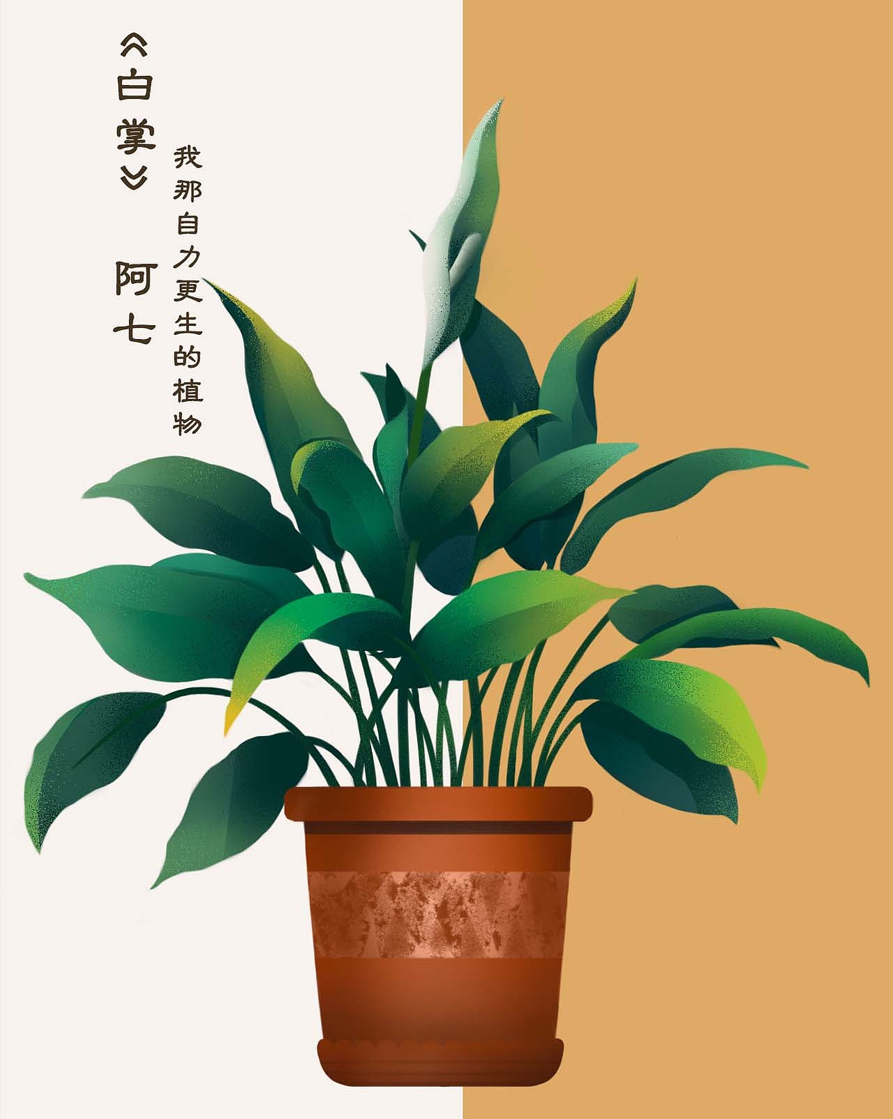 白掌（图ZMzIwNjM5OTMy） - 创作习作 - 站酷设计师北茉_原创素材 - 站酷ZCOOL