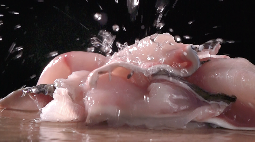 预制菜｜酸菜鱼视频创意合集｜御鲜锋（图ZMzY2MDgwNDY4） - 短片 - 站酷设计师火焰山设计实验室原创素材 - 站酷ZCOOL