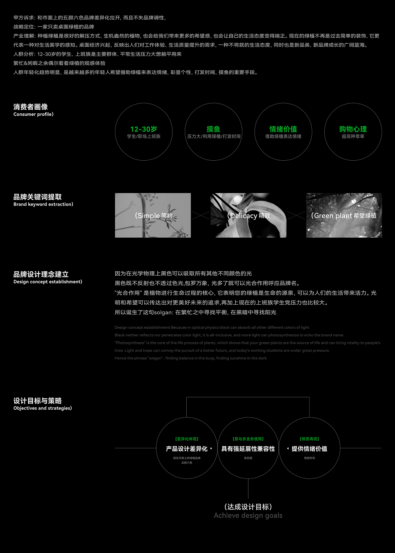 光合作用 | 桌面绿植包装 | 一家贩卖希望的商店