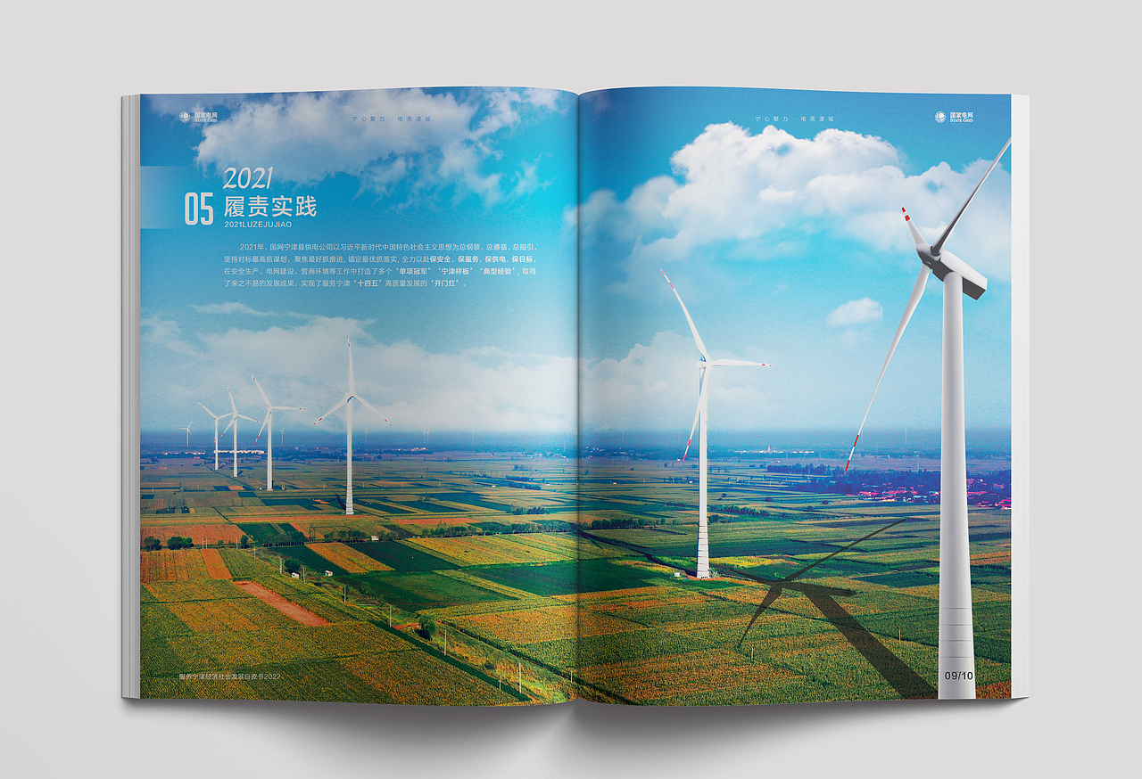 2022年宁津社会责任报告白皮书画册