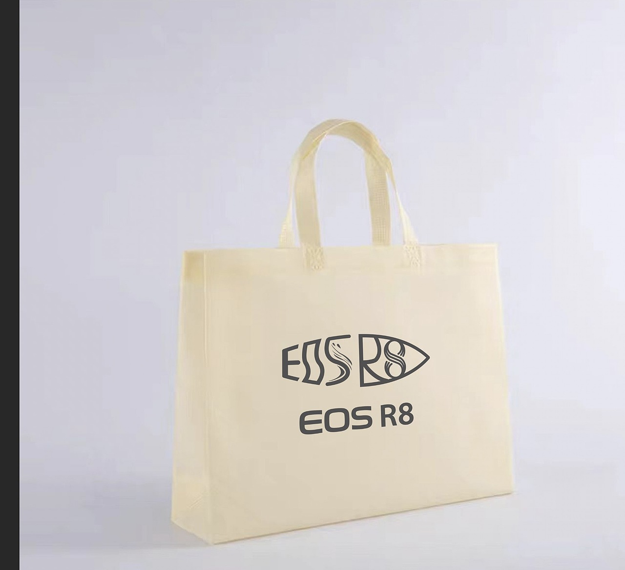 佳能EOS R8 线下物料p图示意