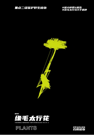 幽明芳荪——中国境内濒危植物数字化视觉形象设计