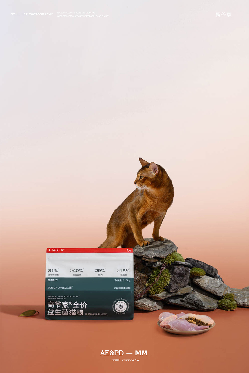 猫粮宠物食品摄影 I 高爷家 x LensVision摄影（图ZMzQ5NzQ0MzQ4） - 宠物摄影 - 站酷设计师LensVision摄影原创素材 - 站酷ZCOOL