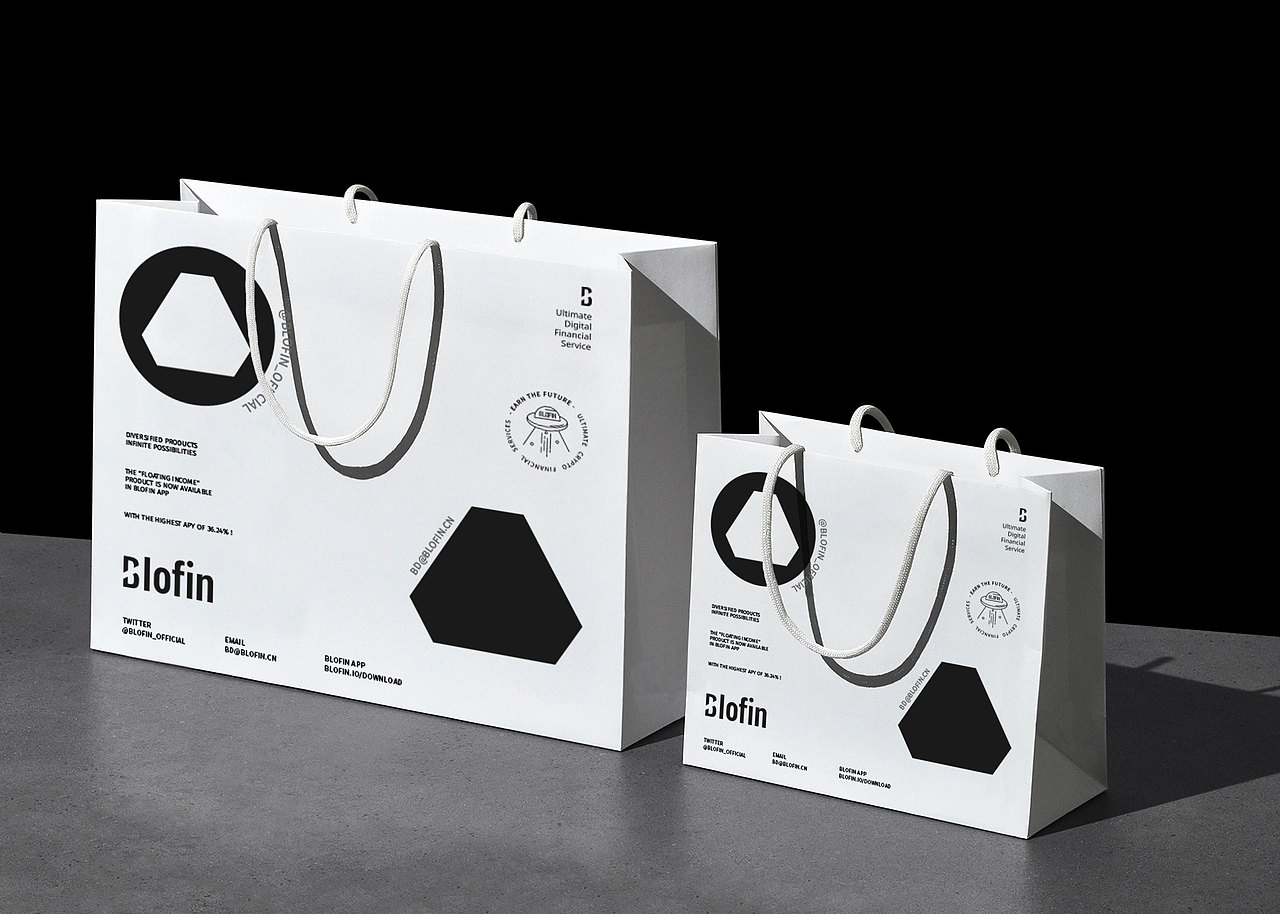 【品牌设计】blofin × 阿呆 - 关于黑白的探索
