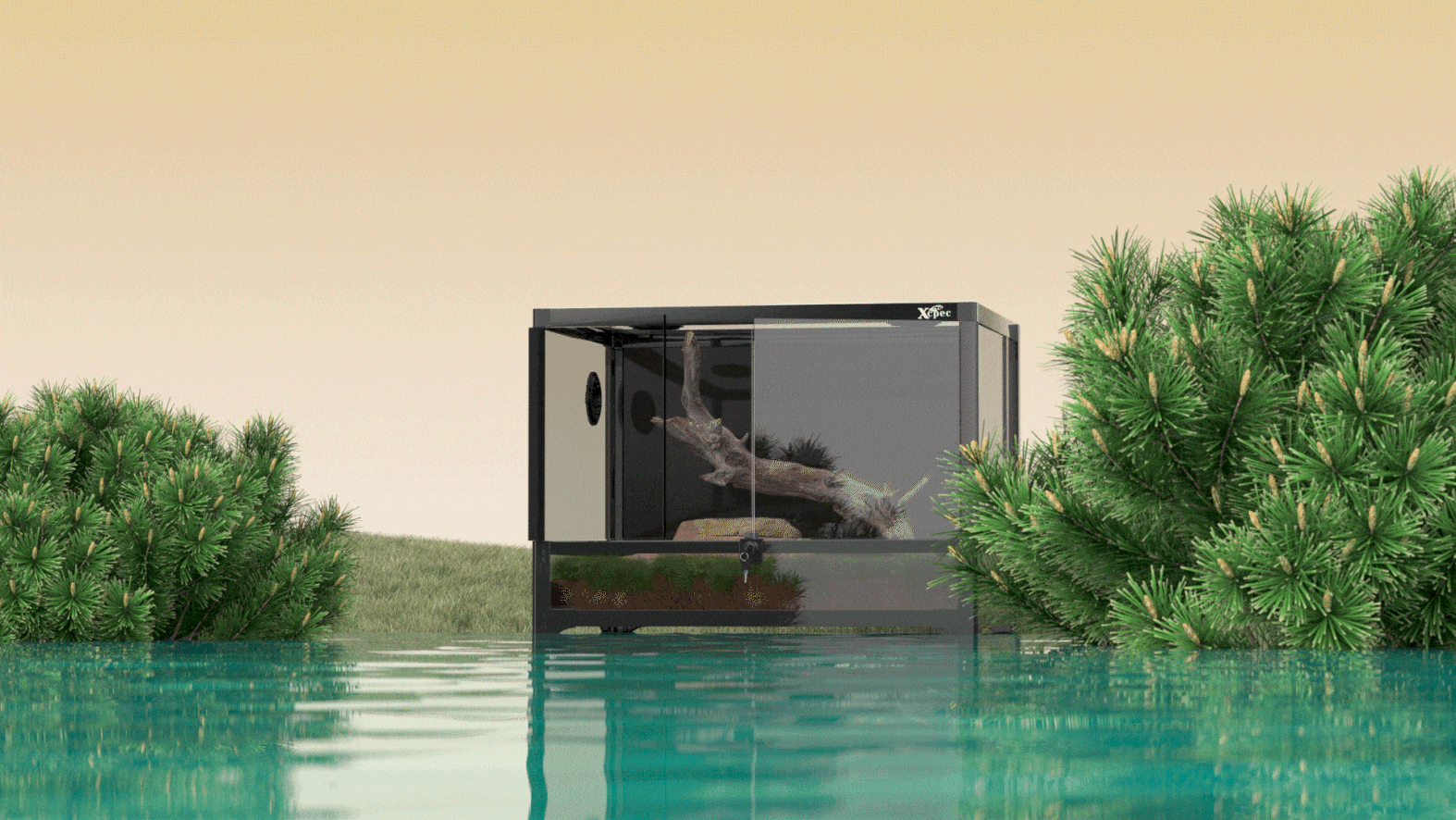 Glass Reptile Terrarium - 产品动画视频