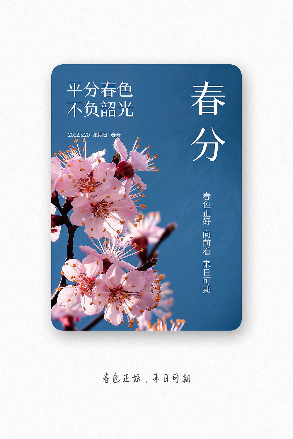工作记录~ (ɔˆз(ˆ⌣ˆc)2022.05（图ZMzAxMTk0NDcy） - 电商 - 站酷设计师小丑侠原创素材 - 站酷ZCOOL
