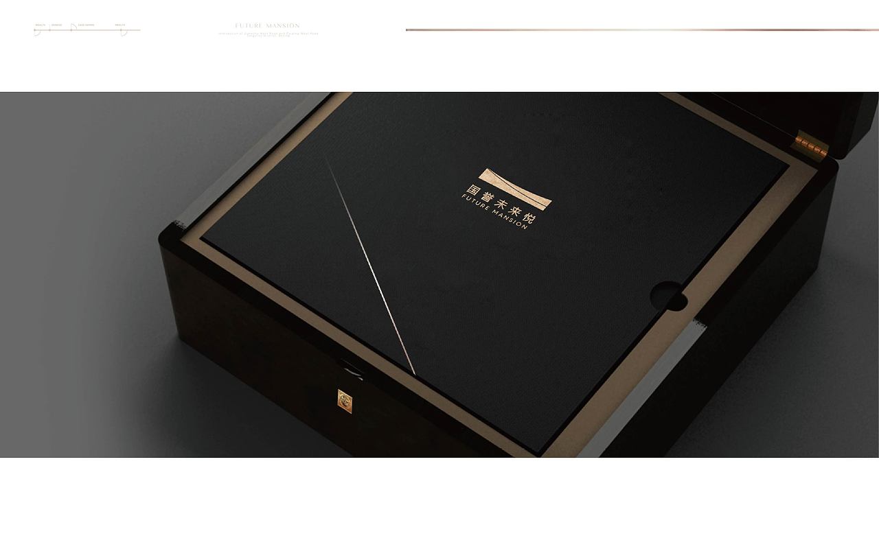 国誉未来悦（图ZMzEwMjUxNzg0） - 品牌 - 站酷设计师嚯霍霍原创素材 - 站酷ZCOOL