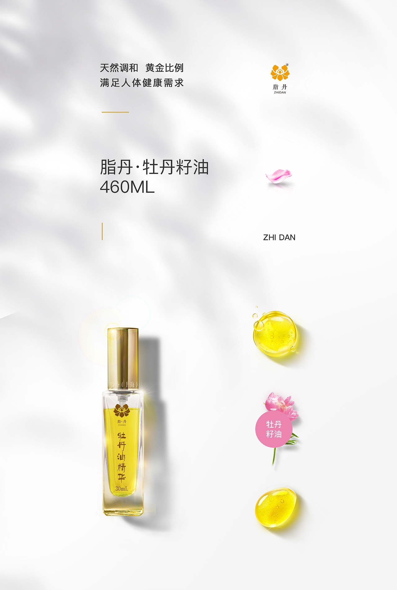 牡丹油产品设计展示