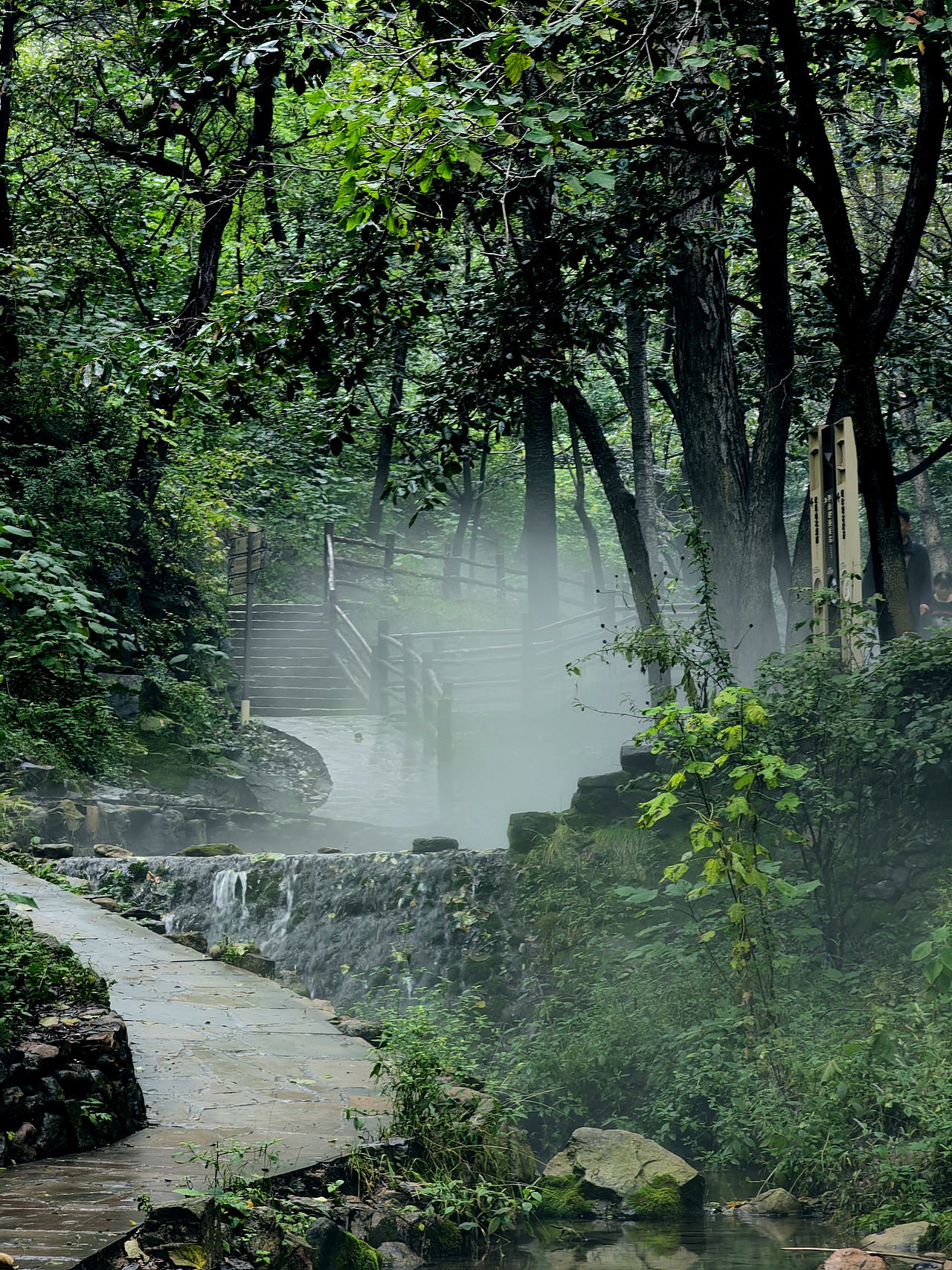 雨后山林（圖ZMzUyMzIwMzg4） - 風(fēng)光攝影 - 站酷設(shè)計(jì)師特別懶的tiger原創(chuàng)素材 - 站酷ZCOOL