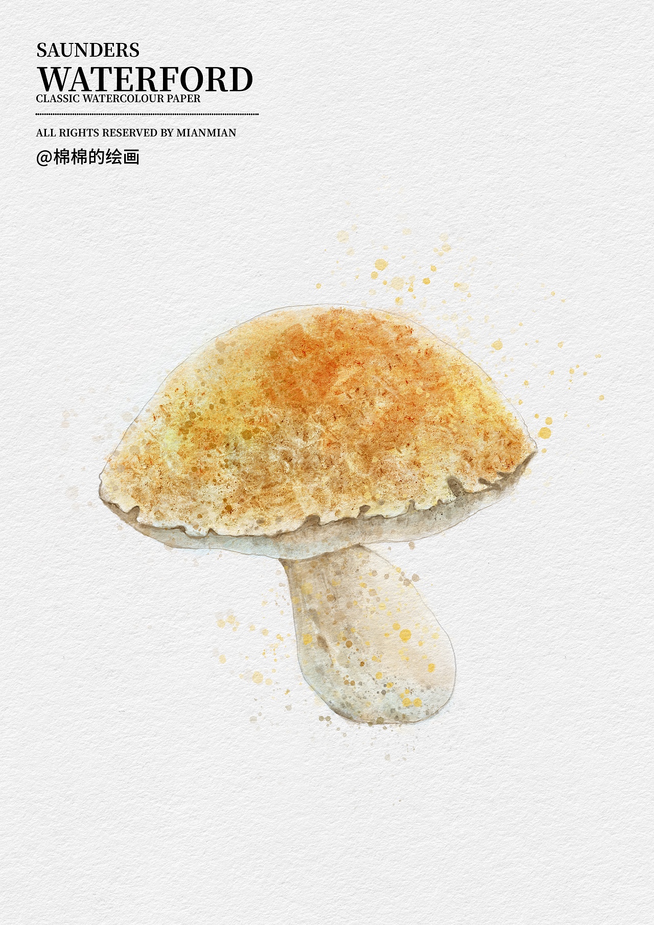 2022年度作品合集（图ZMzI2NTY4NzQw） - 商业插画 - 站酷设计师棉棉的绘画原创素材 - 站酷ZCOOL