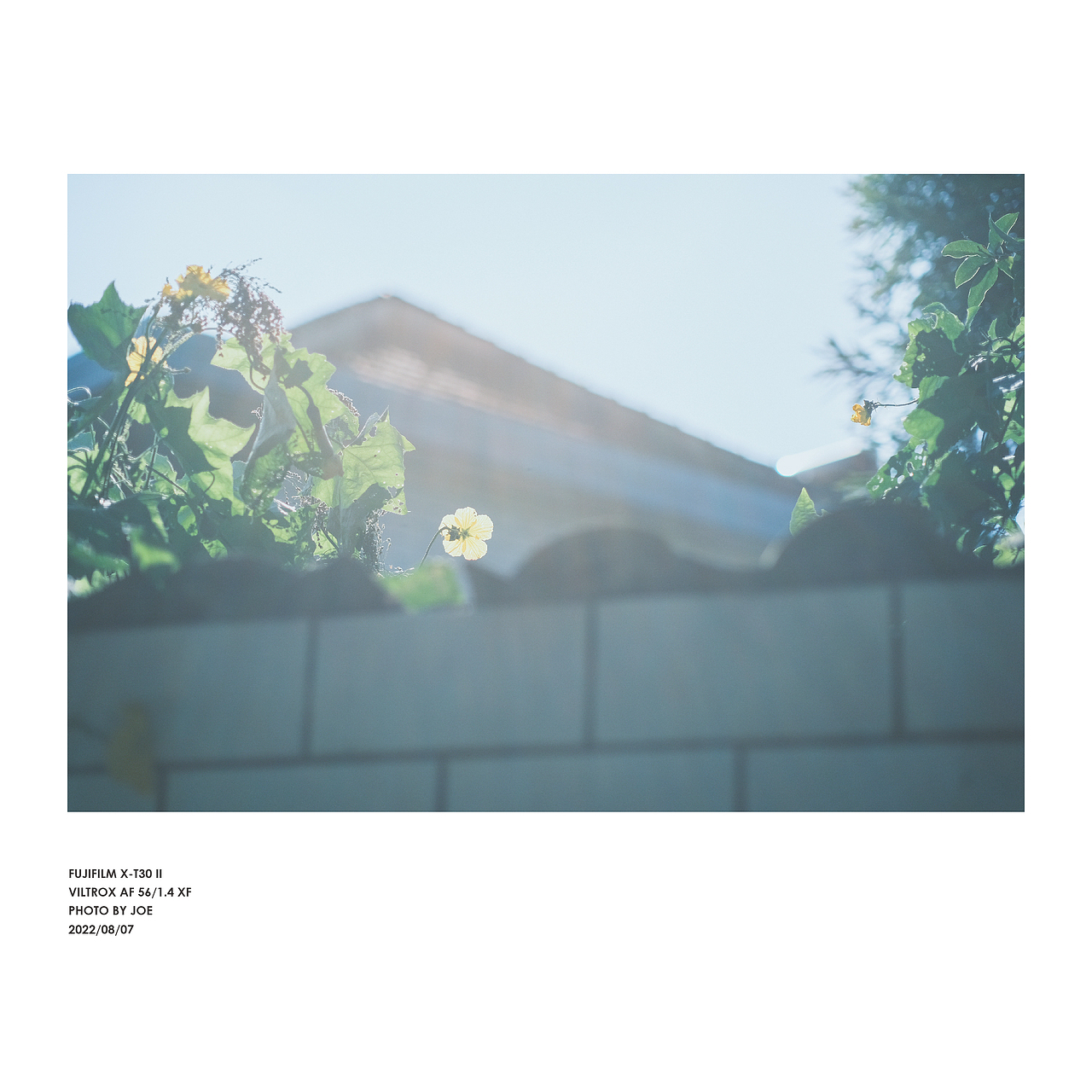 会有一束光，慢慢照向你