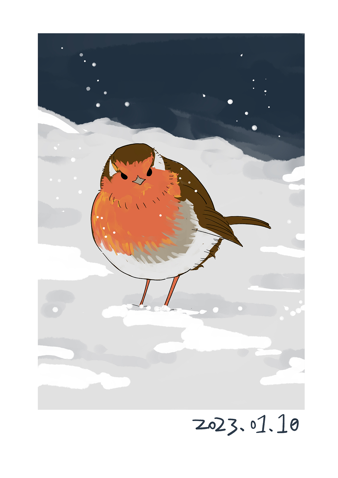 小动物和下雪天更配09