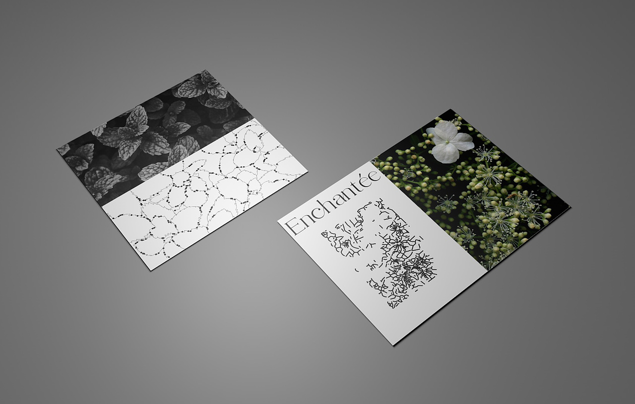 女性护发品牌设计|Enchantee