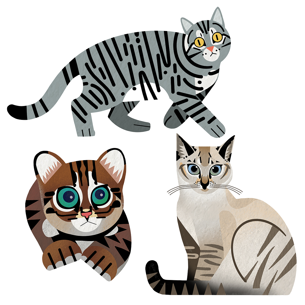 【每日一猫】插画设计