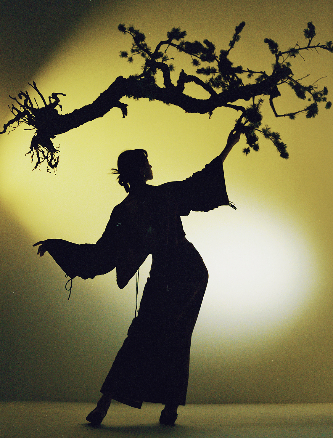 起舞弄清影,何似在人间。